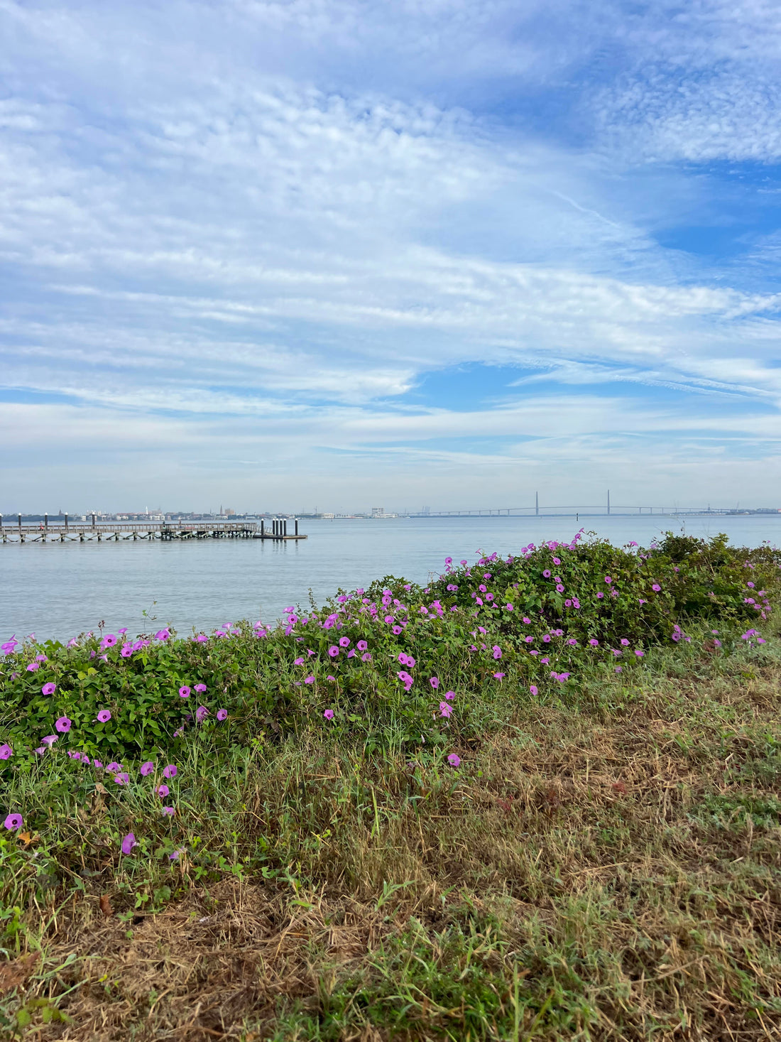 Exploring Parks in Charleston, SC
