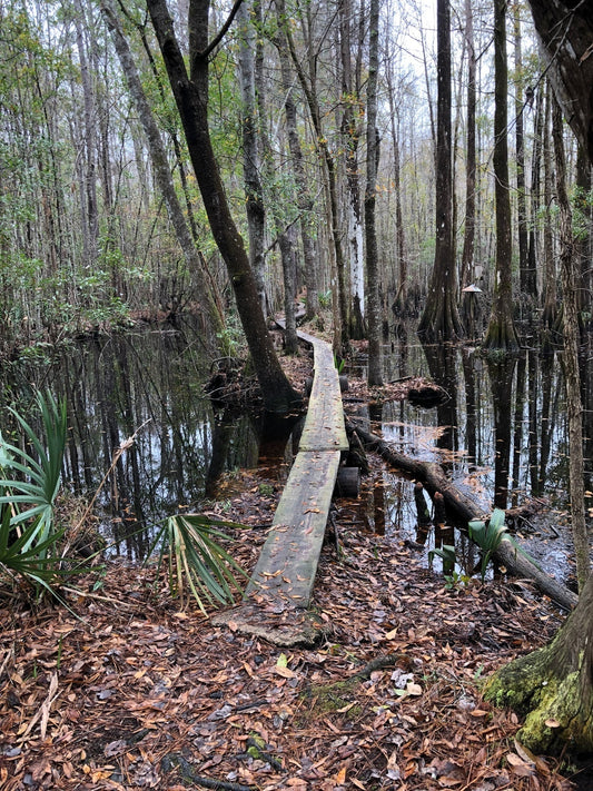 Wild & Free | A Surprise Self-Guided Tour