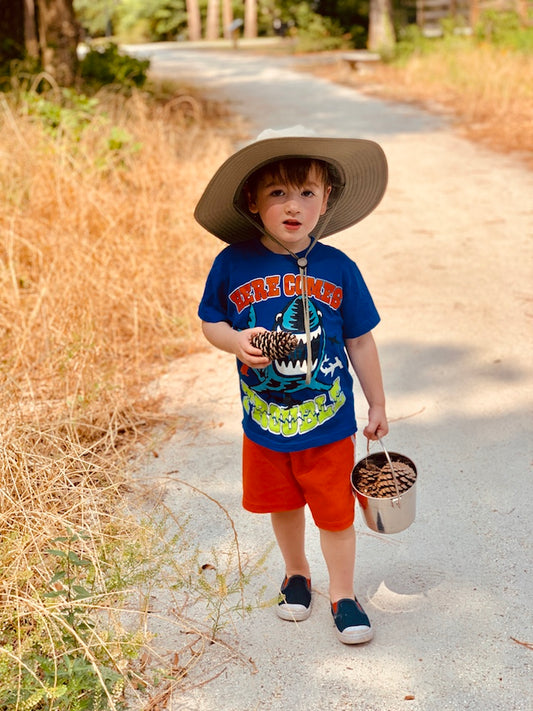 Little Explorers | A Surprise Self-Guided Tour for Kids