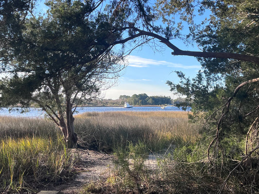 Falling for Charleston